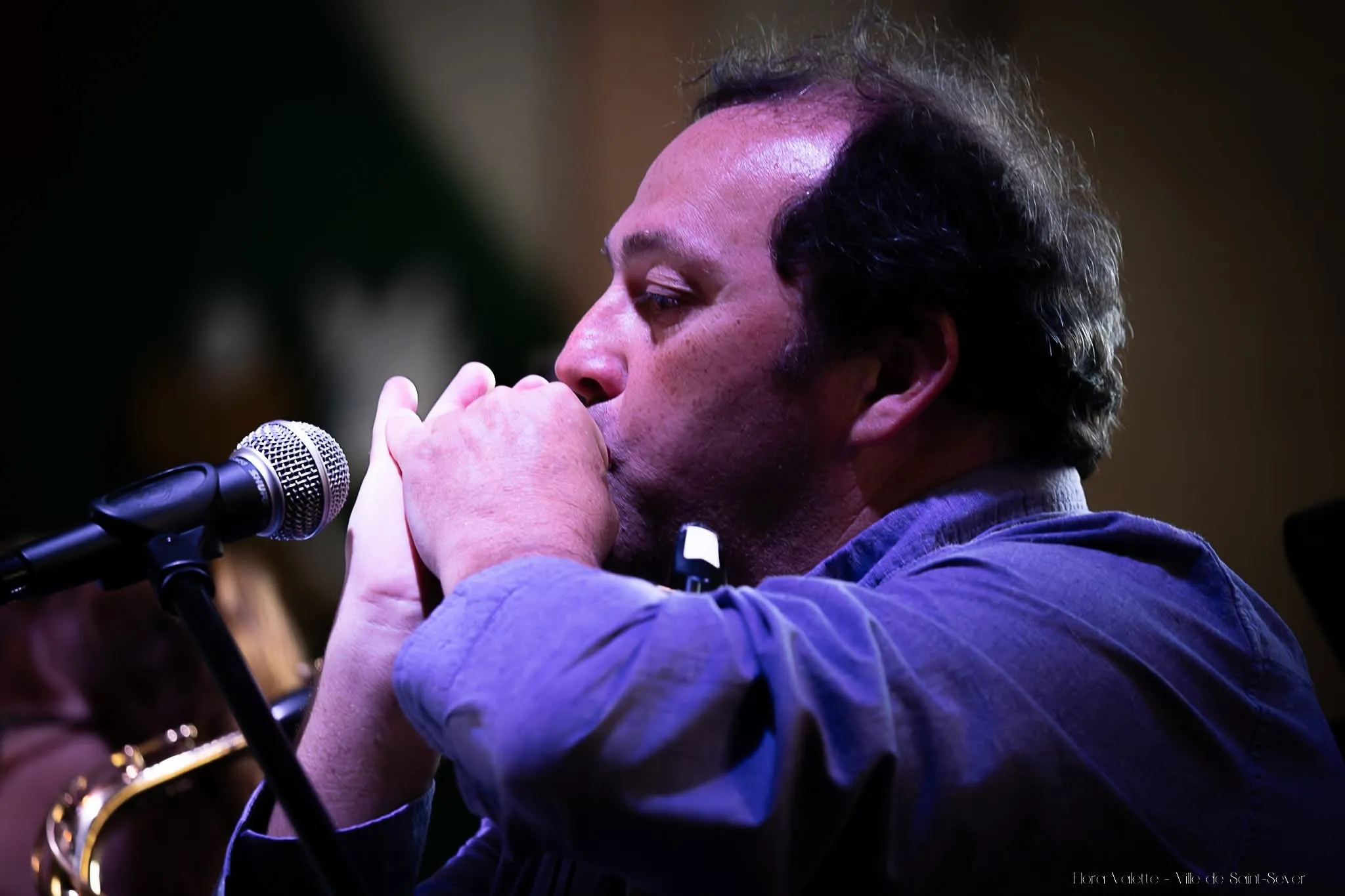 Harmoniciste jouant en solo au micro, mains refermées sur l'instrument